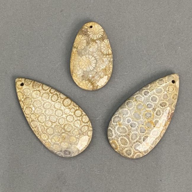 Coral Fossil Pendant Stone 40-60x25-30 mm ± assorted sizes