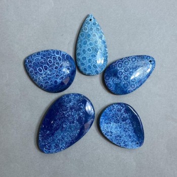 Pendant Fossilized Coral 50-70x30-45 mm +- assorted sizes