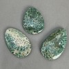 Pendant Fossilized Coral 50-65x40mm+- assorted sizes