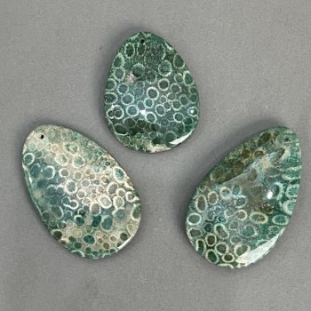 Pendant Fossilized Coral 50-65x40mm+- assorted sizes