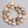 Fossilized Coral beads coin 16.5-17x9mm+-, length 38cm+- on a string