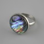 Ring Haliotis 17.5 mm ± without band, sizes silver-colored metal
