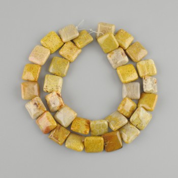 Beads fossilized coral square 12x12mm+-, length 40cm+-. on a string