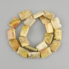 Stone beads of fossil coral rectangular 20x15mm +-, strand length 40cm +- on thread