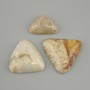 Cabochon of fossilized coral 25-43×24-36 mm ± (assorted sizes)