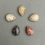 Pendant fossilized coral drop, diameter 20x14 mm+