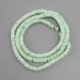 Unprocessed Scapharca shell beads Scarface rondelle, diameter 6x1, 5-3mm+- , length 61cm+- on elastic cord