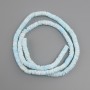 Scapharca shell beads Scapharca rondelle, diameter 6.5-7x1.5-2mm+-, length 61cm+- on a string