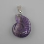 Amethyst Shell Pendant 20×27×35 mm+