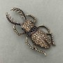 Brooch May beetle with rhinestones gold-tone metal 37x78mm