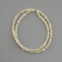 Shell beads Scapharca rondelle, diameter 4×1.5–2 mm ±, length 38 cm ± on a thread
