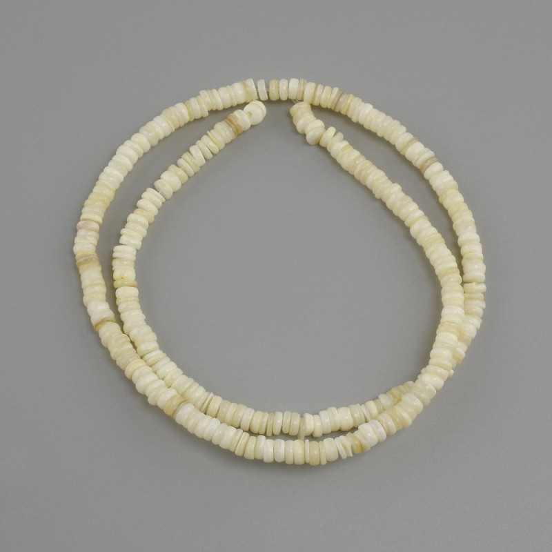 Shell beads Scapharca rondelle, diameter 4x1.5–2 mm +/-, length 38 cm +/- on fishing line