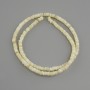 Shell beads Scapharca rondelle, diameter 4x1.5–2 mm +/-, length 38 cm +/- on fishing line