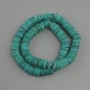 Shell beads Scapharca roundel, diameter 10x1.5-2 mm ±, strand length 35 cm ± on a nylon line