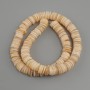 Scapharca shell beads Scapharca rondelle, diameter 10x1, 5-2mm +/- , length 37cm +/- on a fishing line