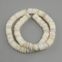 Scapharca shell beads Scapharca rondelle, diameter 10x1, 5-2mm+-, length 38cm+- on a thread