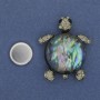 Turtle brooch on a magnet Abalone 40x34mm ± crystals silvery metal
