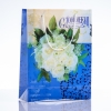 Gift Bag, 24x18cm (PE material)