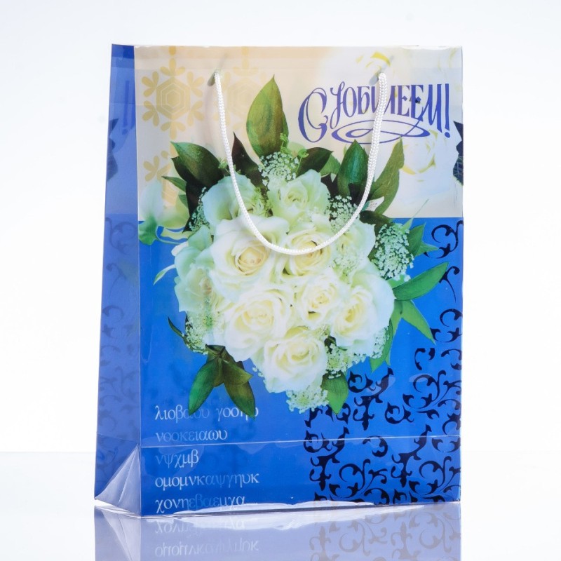 Gift Bag, 24x18cm (PE material)