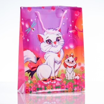 Gift Bag, 24x18cm (PE material)