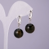 Hawk's Eye Natural Stone Earrings, 14mm Diameter, 18mm Length
