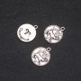 Findings Pendant Zodiac Aries, diameter 17mm, package 20g +/- 11pcs