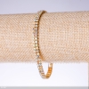 Two-Row Rhinestone "Chameleon" Bracelet, Width 5mm, Length 19cm, Gold