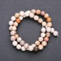 Fossil Coral Beads, Faceted Round, 8mm, Strand 38cm