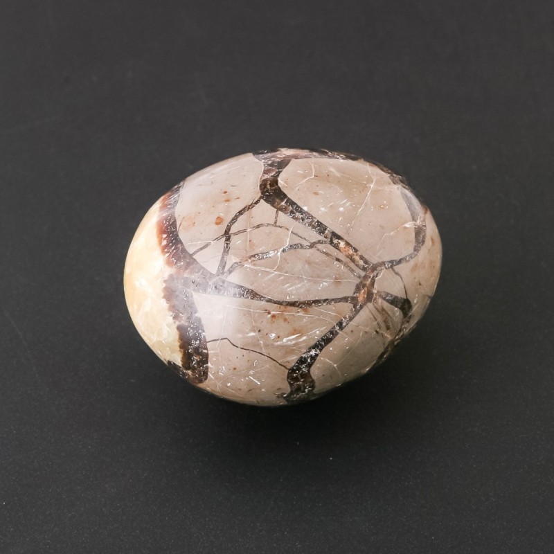 Septarian Souvenir Stone Assorted Sizes (price per 100g) weight from 120g