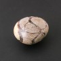 Septarian Souvenir Stone Assorted Sizes (price per 100g) weight from 120g