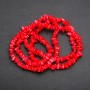 Beads on Fishing Line, Tinted Mother-of-Pearl Chips, Diameter 5-10x2-4 (+/-) mm, Length 80cm