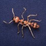 Sale! Ant Brooch, Enamel, Gold-Tone Metal 42x57mm