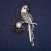 Sale! Parrot Brooch with Enamel, Bead, and Rhinestones, Gray Metal 37x58mm