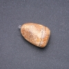 Picture Jasper Pendant 16x33(+-)mm