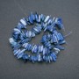 Kyanite Beads Natural Stone Chip "Needle", diameter 18x3mm, length 40cm ± on thread