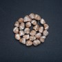 Beads on a Strand, Natural Beige Mother-of-Pearl Chips, Diameter 19x12mm, Length 41cm+