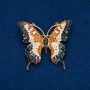 Sale! Butterfly Brooch Multicolor Rhinestones, Gold-Tone Metal 50x55mm +