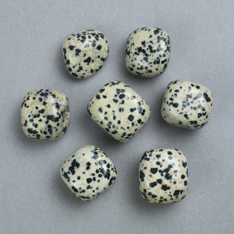 Dalmatian Jasper Natural Stone, diameter 22x20mm± (packaging 100g)