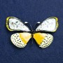 Sale! Silver Butterfly Brooch with Silver Metal and Enamel 70x40mm +