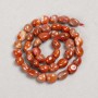 Carnelian Beads on Thread, Cabochon-cut, 8x10mm
