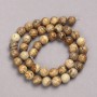 Natural Stone Beads on Thread - Landscape Jasper Smooth Round Beads, 10mm diameter +-, thread length 39cm +-