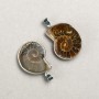 Ammonite Pendant in Silver Plated Mount, Assorted Sizes from 20x30mm± to 30x40mm± (per 1 piece)