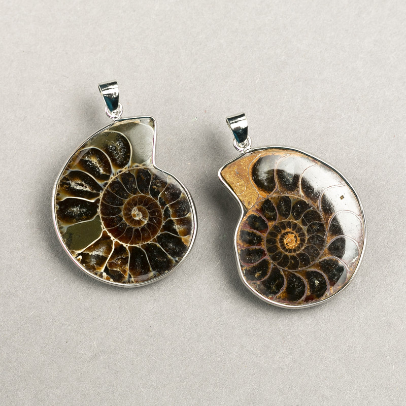 Ammonite Pendant in Silver Setting, assorted sizes from 30x40mm± to 40x50mm± (per piece)