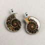 Ammonite Pendant in Silver Setting, assorted sizes from 30x40mm± to 40x50mm± (per piece)