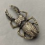 Spring Bug Brooch with Rhinestones Gold-Tone Metal 28x57mm
