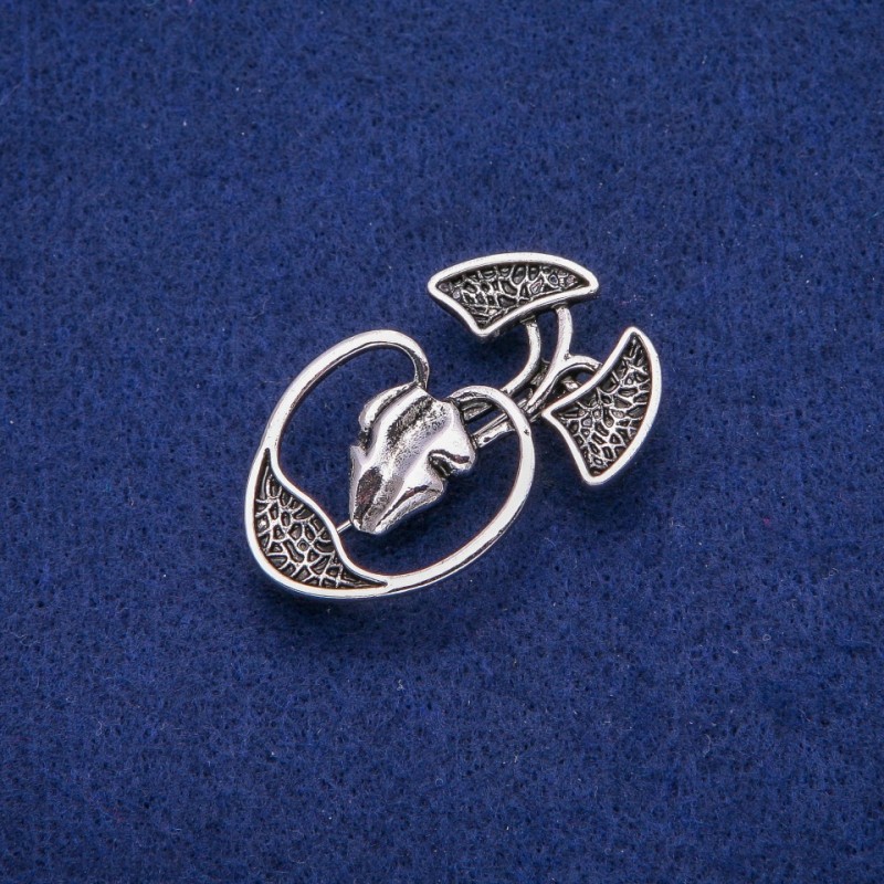 Brooch Anatomy 28x45mm, silver-toned metal