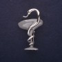 Brooch 'Chalice with a Serpent' gray enamel, 44x21mm, silver metal