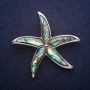 Brooch Pendant Sea Star with Halosite 53x53mm