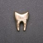 Brooch "Golden Tooth" Yellow Metal 17x23mm