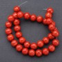 Natural coral beads round glossy 12 mm diameter, 37 cm thread length
